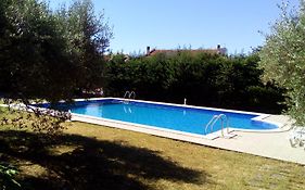Apartment Dragica